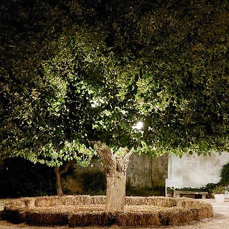 Masseria San Martino Polignano a Mare Zewnętrze zdjęcie