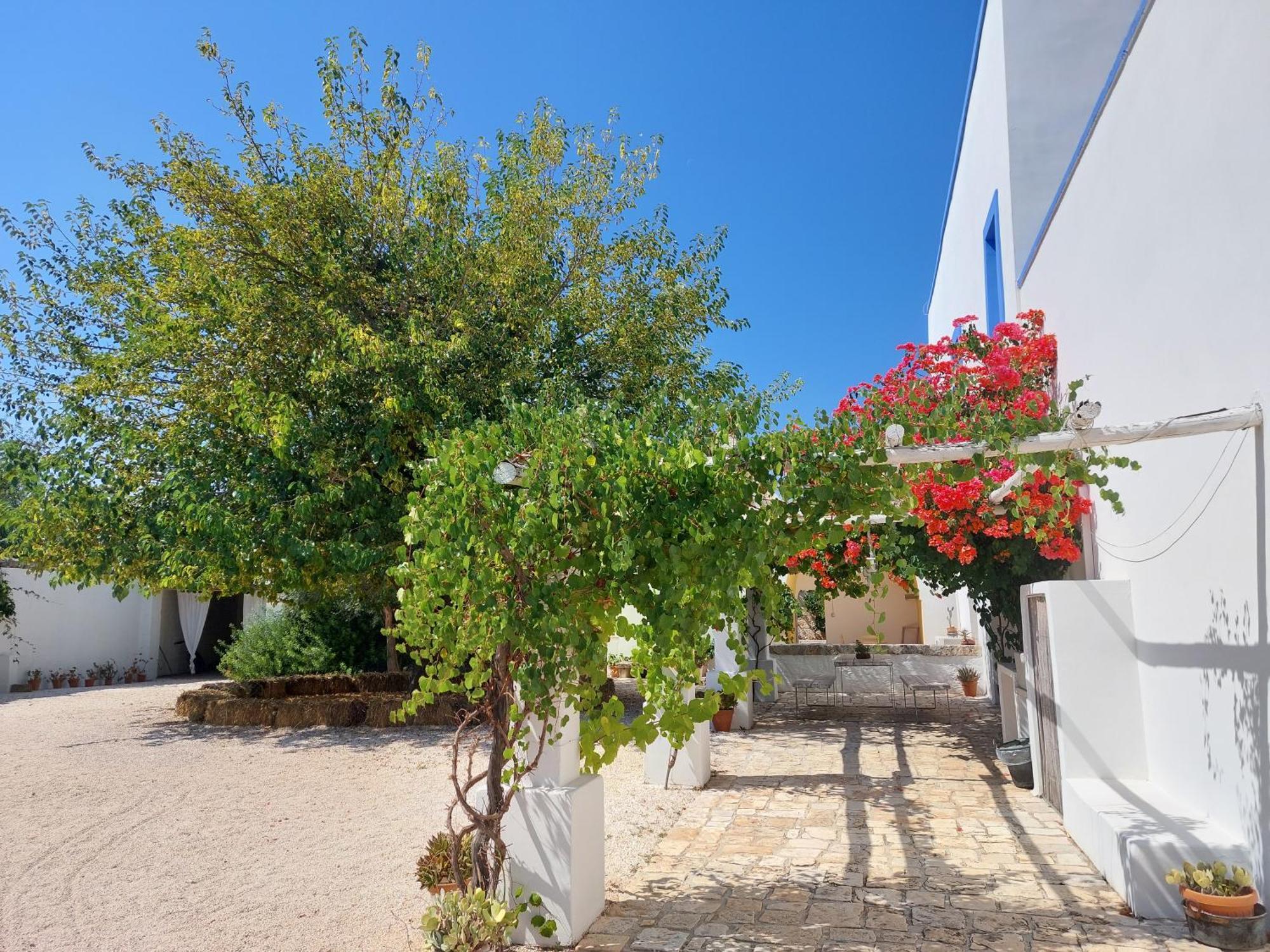 Masseria San Martino Polignano a Mare Zewnętrze zdjęcie