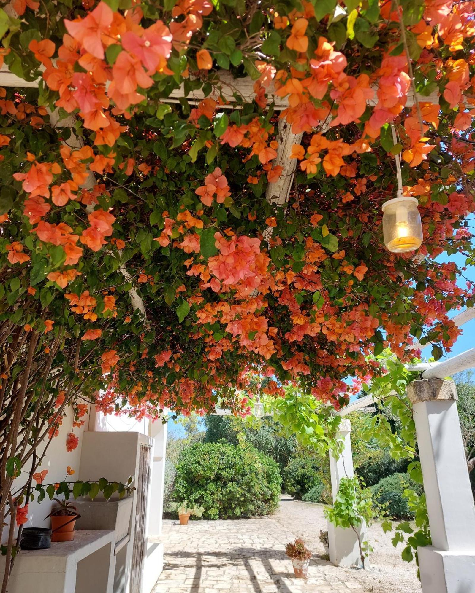 Masseria San Martino Polignano a Mare Zewnętrze zdjęcie