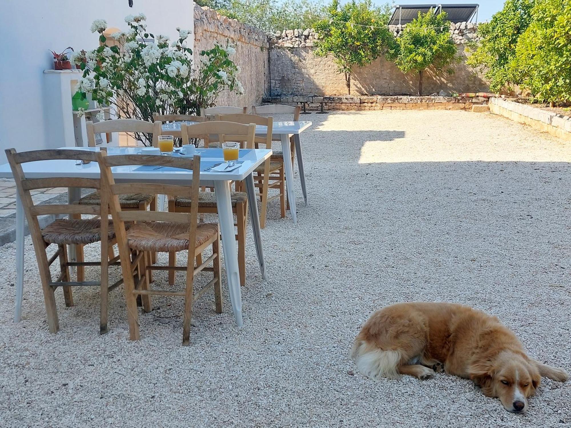 Masseria San Martino Polignano a Mare Zewnętrze zdjęcie
